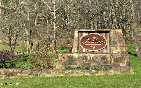 Tiny photo for Mountain Ash Way, Sevierville, TN 37876 (MLS # 1333857)