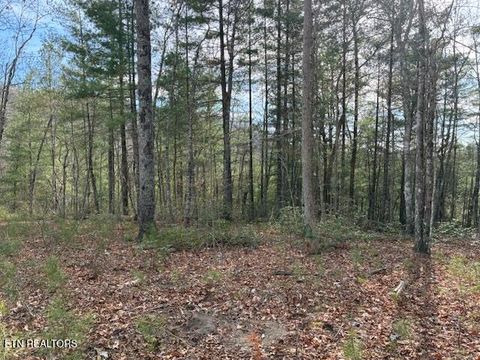 Tiny photo for Mountain Ash Way, Sevierville, TN 37876 (MLS # 1333857)