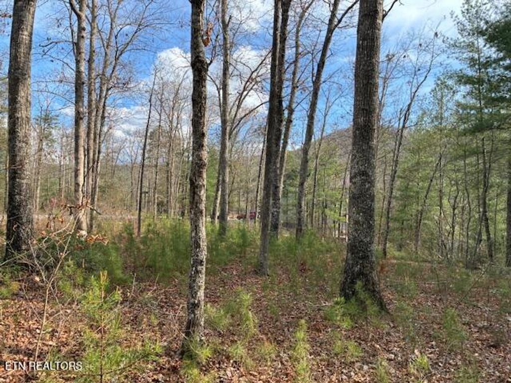 Photo of Mountain Ash Way, Sevierville, TN 37876 (MLS # 1333857)
