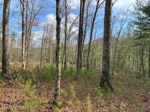 Tiny photo for Mountain Ash Way, Sevierville, TN 37876 (MLS # 1333857)