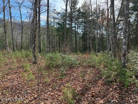 Tiny photo for Mountain Ash Way, Sevierville, TN 37876 (MLS # 1333857)