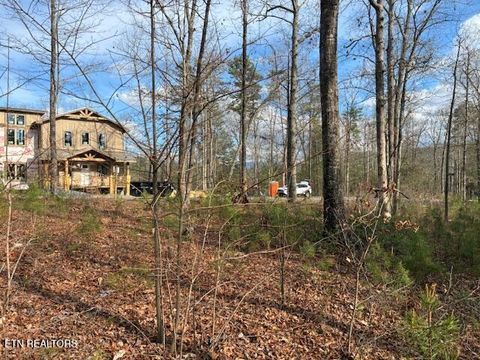 Tiny photo for Mountain Ash Way, Sevierville, TN 37876 (MLS # 1333857)