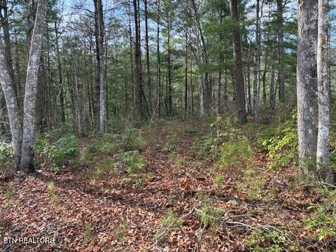 Tiny photo for Mountain Ash Way, Sevierville, TN 37876 (MLS # 1333857)