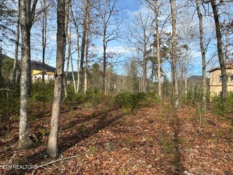 Tiny photo for Mountain Ash Way, Sevierville, TN 37876 (MLS # 1333857)