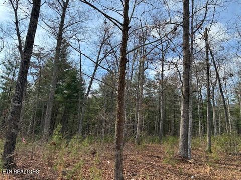 Tiny photo for Mountain Ash Way, Sevierville, TN 37876 (MLS # 1333857)
