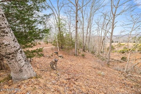 Tiny photo for Deer Pond Circle, LaFollette, TN 37766 (MLS # 1328189)