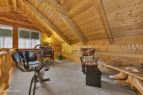 Tiny photo for 221 Caney Creek Rd, Cosby, TN 37722 (MLS # 1320186)