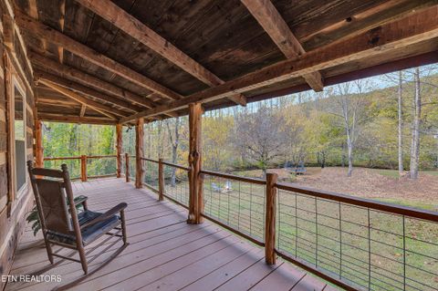 Tiny photo for 221 Caney Creek Rd, Cosby, TN 37722 (MLS # 1320186)