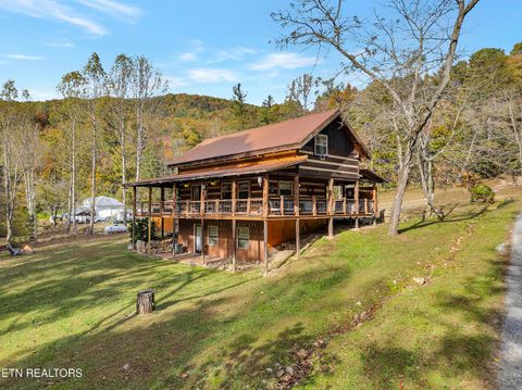 Tiny photo for 221 Caney Creek Rd, Cosby, TN 37722 (MLS # 1320186)