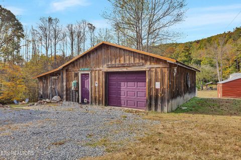 Tiny photo for 221 Caney Creek Rd, Cosby, TN 37722 (MLS # 1320186)