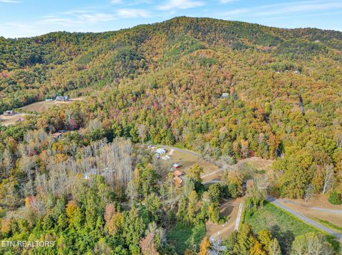 Tiny photo for 221 Caney Creek Rd, Cosby, TN 37722 (MLS # 1320186)