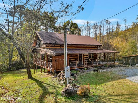 Tiny photo for 221 Caney Creek Rd, Cosby, TN 37722 (MLS # 1320186)