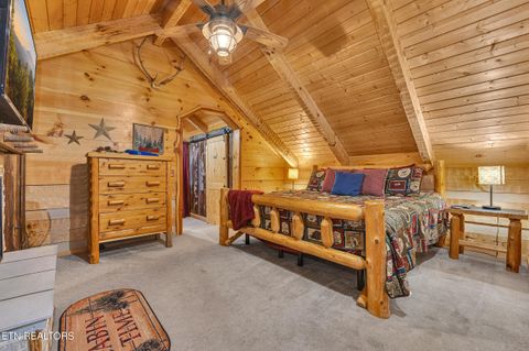 Tiny photo for 221 Caney Creek Rd, Cosby, TN 37722 (MLS # 1320186)