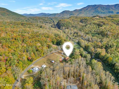 Tiny photo for 221 Caney Creek Rd, Cosby, TN 37722 (MLS # 1320186)