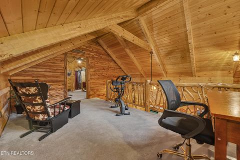 Tiny photo for 221 Caney Creek Rd, Cosby, TN 37722 (MLS # 1320186)