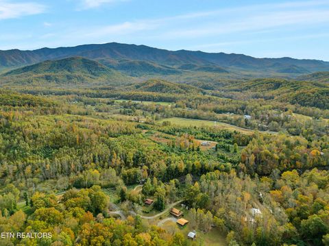 Tiny photo for 221 Caney Creek Rd, Cosby, TN 37722 (MLS # 1320186)