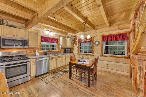 Tiny photo for 221 Caney Creek Rd, Cosby, TN 37722 (MLS # 1320186)