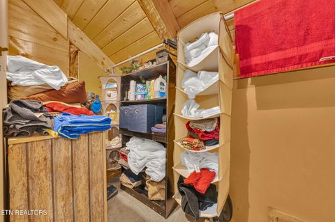 Tiny photo for 221 Caney Creek Rd, Cosby, TN 37722 (MLS # 1320186)