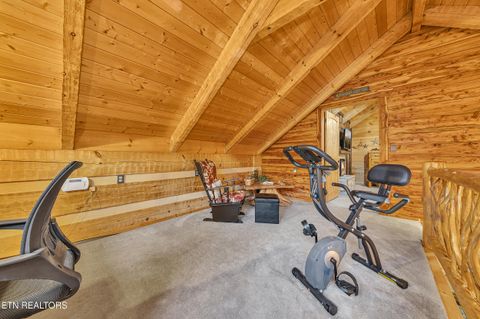 Tiny photo for 221 Caney Creek Rd, Cosby, TN 37722 (MLS # 1320186)