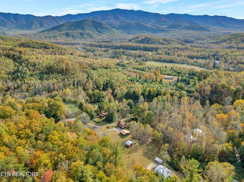 Tiny photo for 221 Caney Creek Rd, Cosby, TN 37722 (MLS # 1320186)