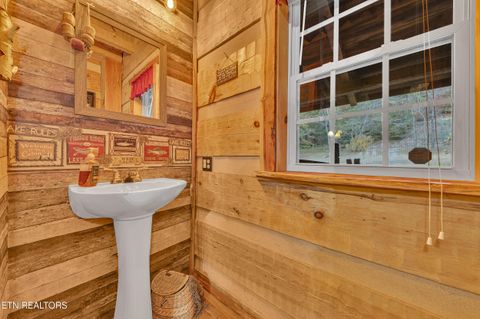 Tiny photo for 221 Caney Creek Rd, Cosby, TN 37722 (MLS # 1320186)