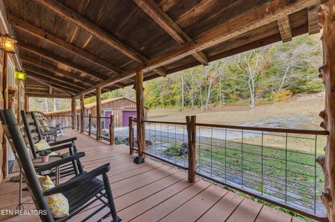 Tiny photo for 221 Caney Creek Rd, Cosby, TN 37722 (MLS # 1320186)