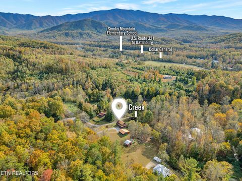 Tiny photo for 221 Caney Creek Rd, Cosby, TN 37722 (MLS # 1320186)