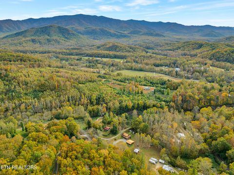 Tiny photo for 221 Caney Creek Rd, Cosby, TN 37722 (MLS # 1320186)