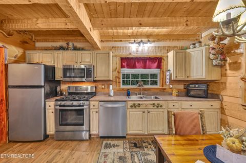 Tiny photo for 221 Caney Creek Rd, Cosby, TN 37722 (MLS # 1320186)