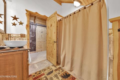 Tiny photo for 221 Caney Creek Rd, Cosby, TN 37722 (MLS # 1320186)