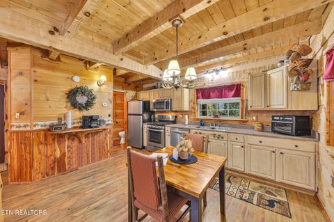 Tiny photo for 221 Caney Creek Rd, Cosby, TN 37722 (MLS # 1320186)