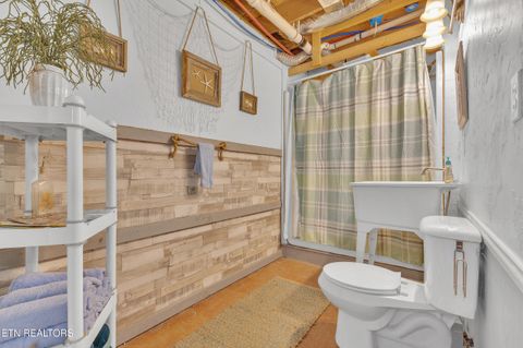 Tiny photo for 221 Caney Creek Rd, Cosby, TN 37722 (MLS # 1320186)