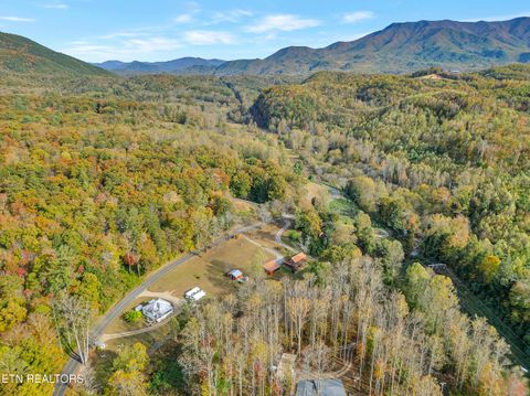 Tiny photo for 221 Caney Creek Rd, Cosby, TN 37722 (MLS # 1320186)