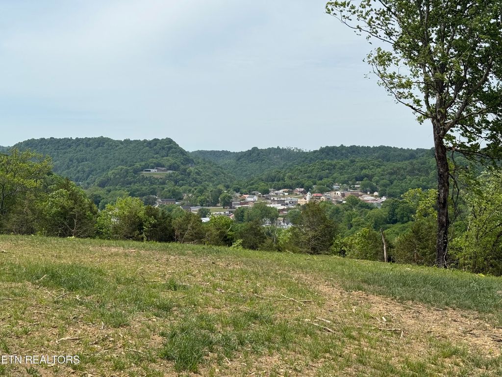 Photo of 0 Baugh Hollow Lane, Gainesboro, TN 38562 (MLS # 1339842)