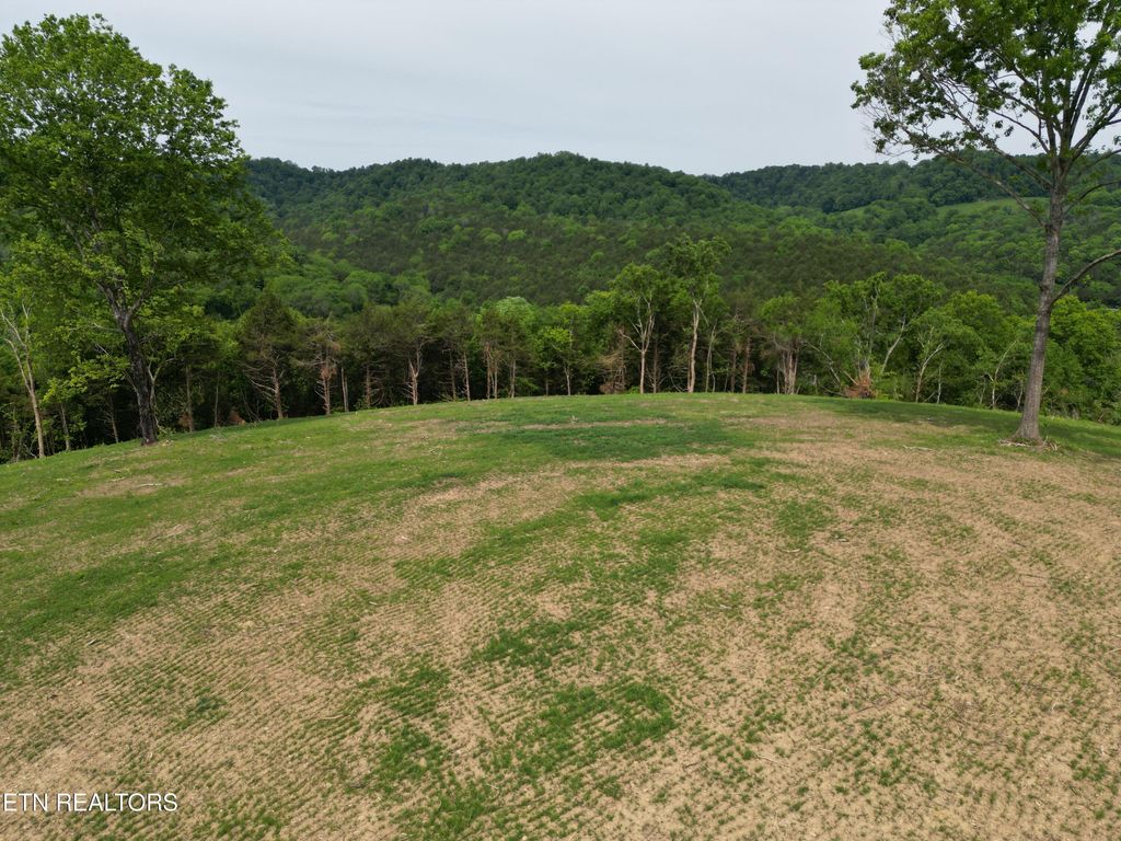Photo of 0 Baugh Hollow Lane, Gainesboro, TN 38562 (MLS # 1339842)