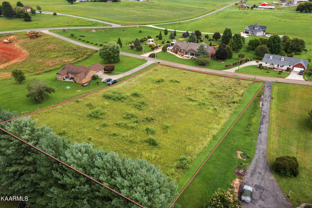 Photo of 608 Cornfield Lane, White Pine, TN 37890 (MLS # 1236211)