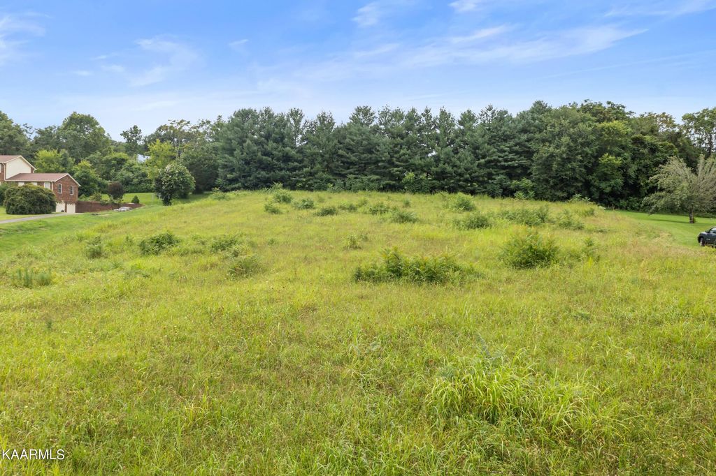 Photo of 608 Cornfield Lane, White Pine, TN 37890 (MLS # 1236211)