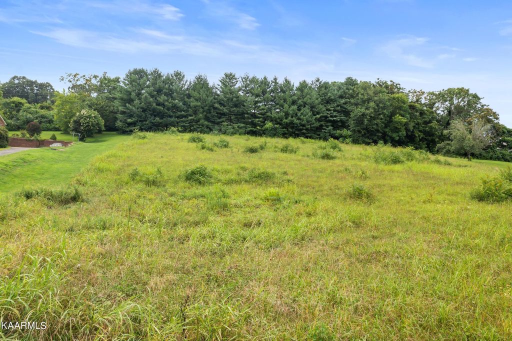 Photo of 608 Cornfield Lane, White Pine, TN 37890 (MLS # 1236211)