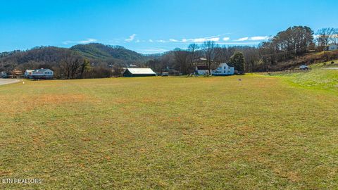 Tiny photo for 5 Cherohala Skwy, Tellico Plains, TN 37385 (MLS # 1327075)