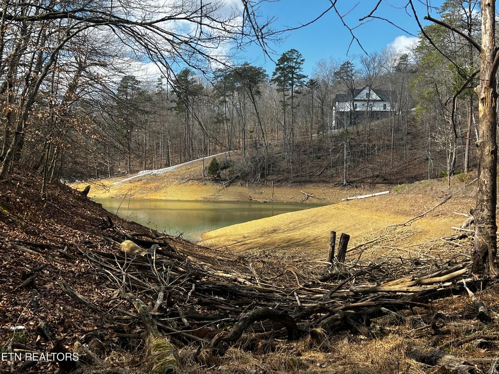 Photo of 359 Morning Glory Rd, New Tazewell, TN 37825 (MLS # 1256100)