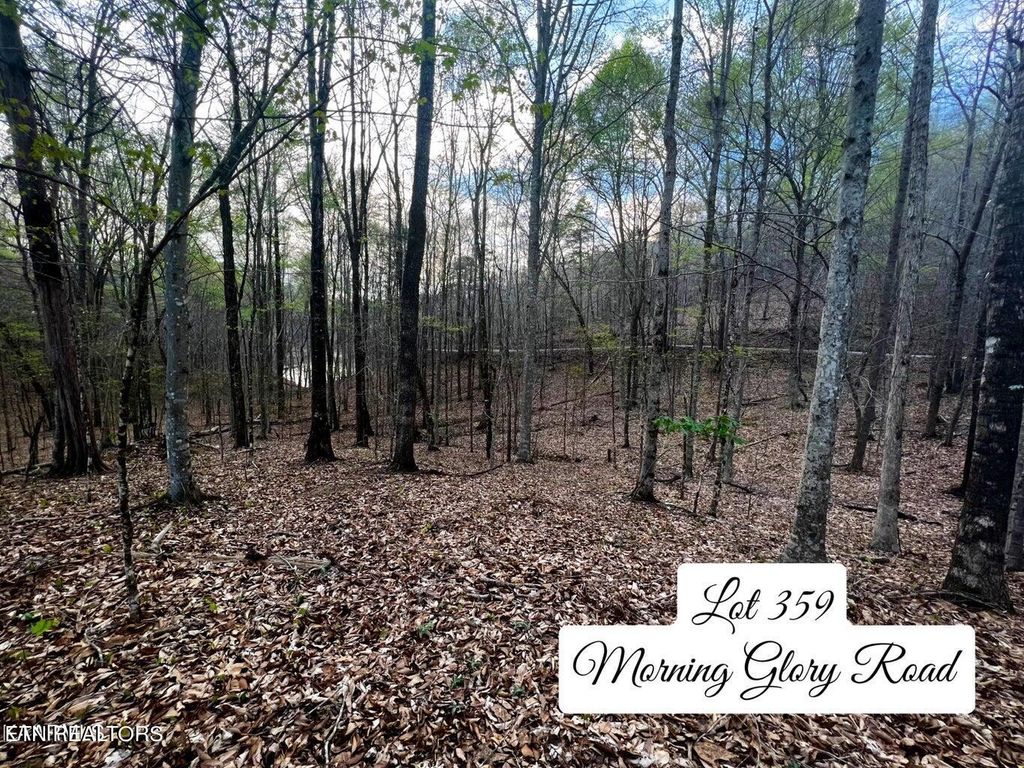 Photo of 359 Morning Glory Rd, New Tazewell, TN 37825 (MLS # 1256100)