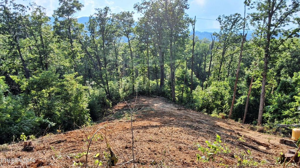 Photo of 71 E KIngs Ridge Rd, Gatlinburg, TN 37738 (MLS # 1316824)