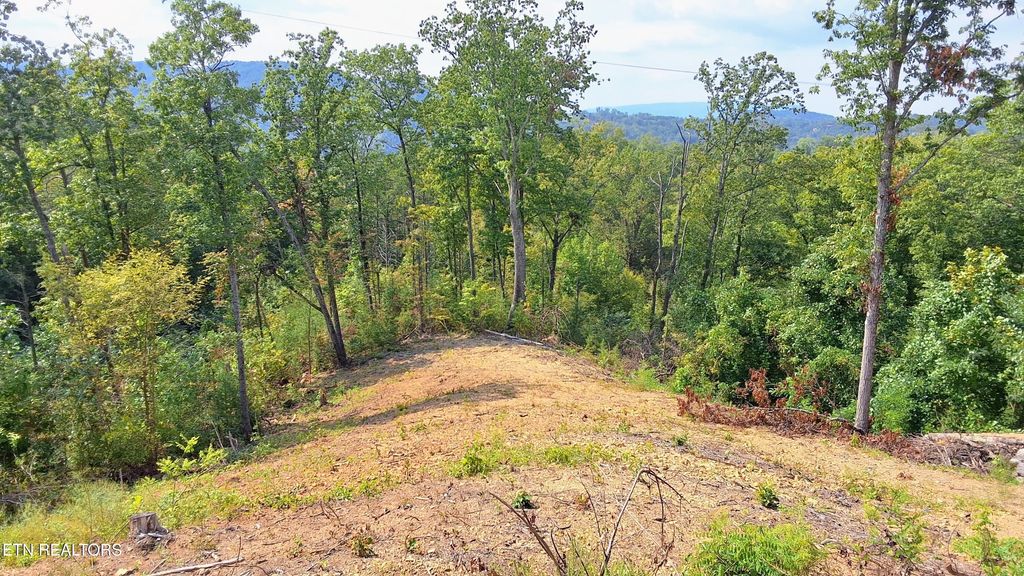 Photo of 71 E KIngs Ridge Rd, Gatlinburg, TN 37738 (MLS # 1316824)