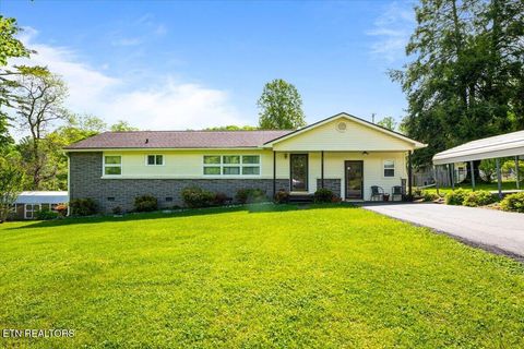 Photo of 212 Sunset Drive, LaFollette, TN 37766 (MLS # 1338890)