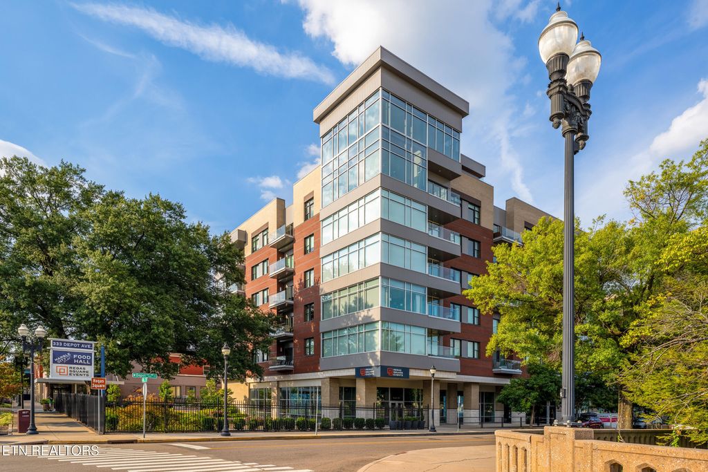 Photo of 333 W Depot Ave #219, Knoxville, TN 37917 (MLS # 1319864)