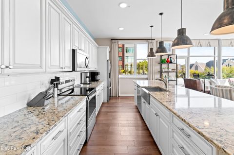 Tiny photo for 333 W Depot Ave #219, Knoxville, TN 37917 (MLS # 1319864)