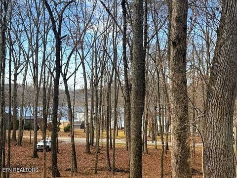 Tiny photo for 3 Highway 304, Ten Mile, TN 37880 (MLS # 1327555)