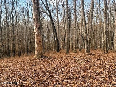 Tiny photo for 3 Highway 304, Ten Mile, TN 37880 (MLS # 1327555)