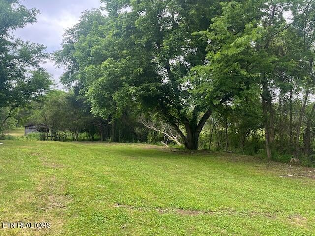 Photo of 209 John Long Rd, Spring City, TN 37381 (MLS # 1303579)
