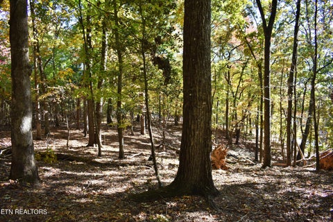 Tiny photo for 0 Lake Forest Drive, Spring City, TN 37381 (MLS # 1360403)